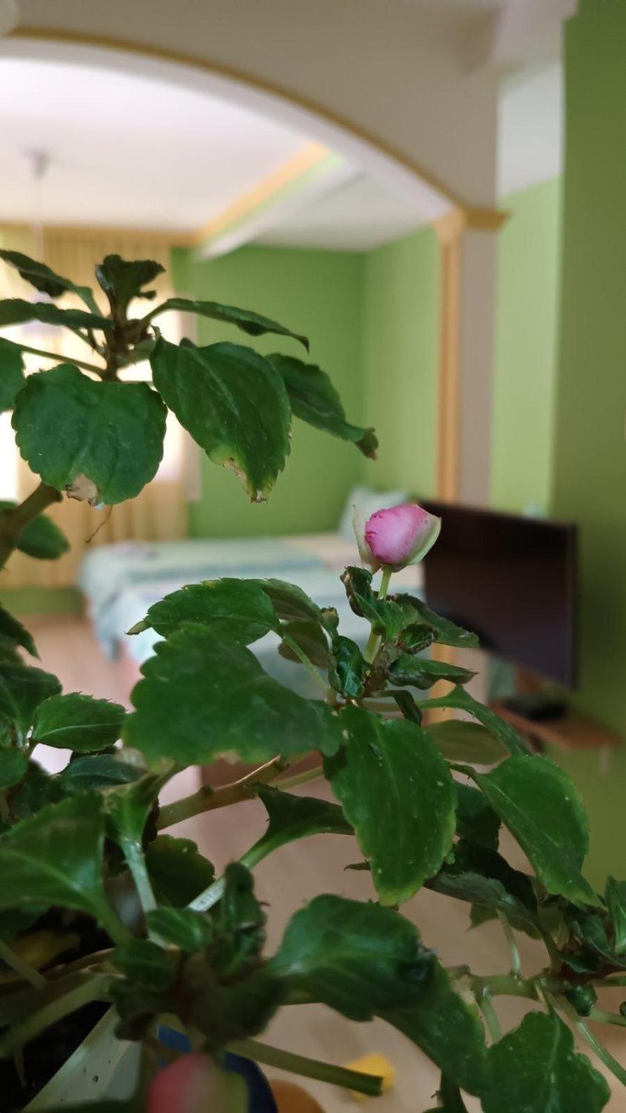 Villa Re3Ca Skopje Eksteriør bilde